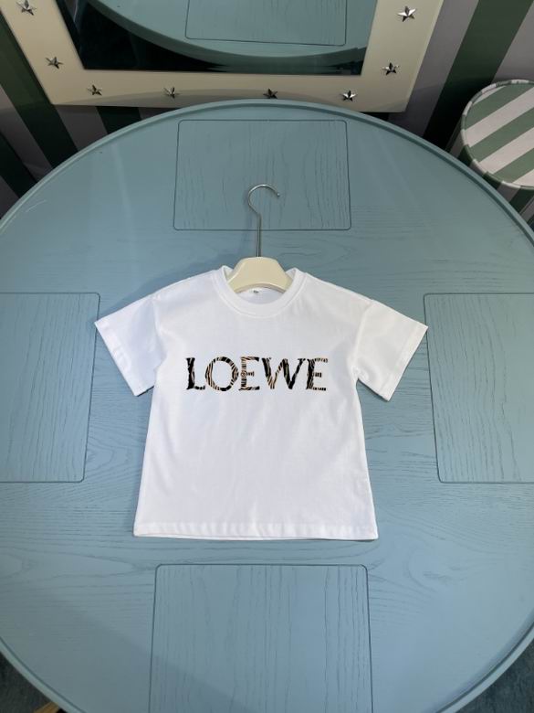 Loewe sz100-160 05